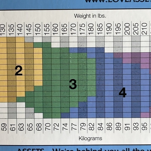 NWT Assets By Sara Blakely Nude Perfect Pantyhose - Picture 3 of 5